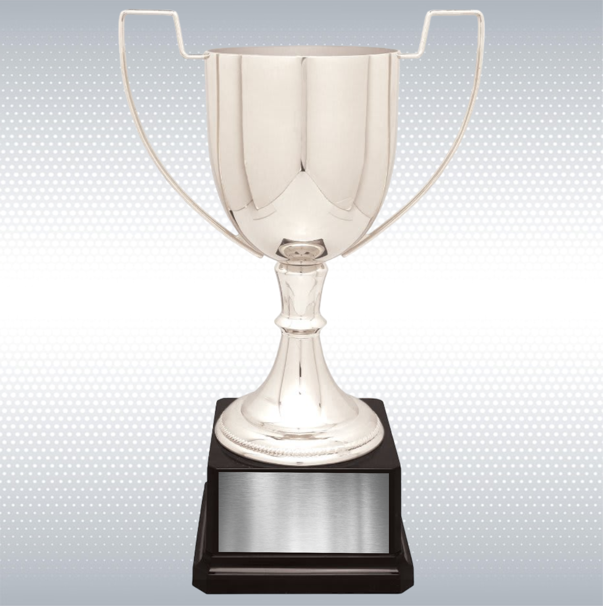 11 3/4" Completed Zinc Cup Trophy on Plastic Base 9
