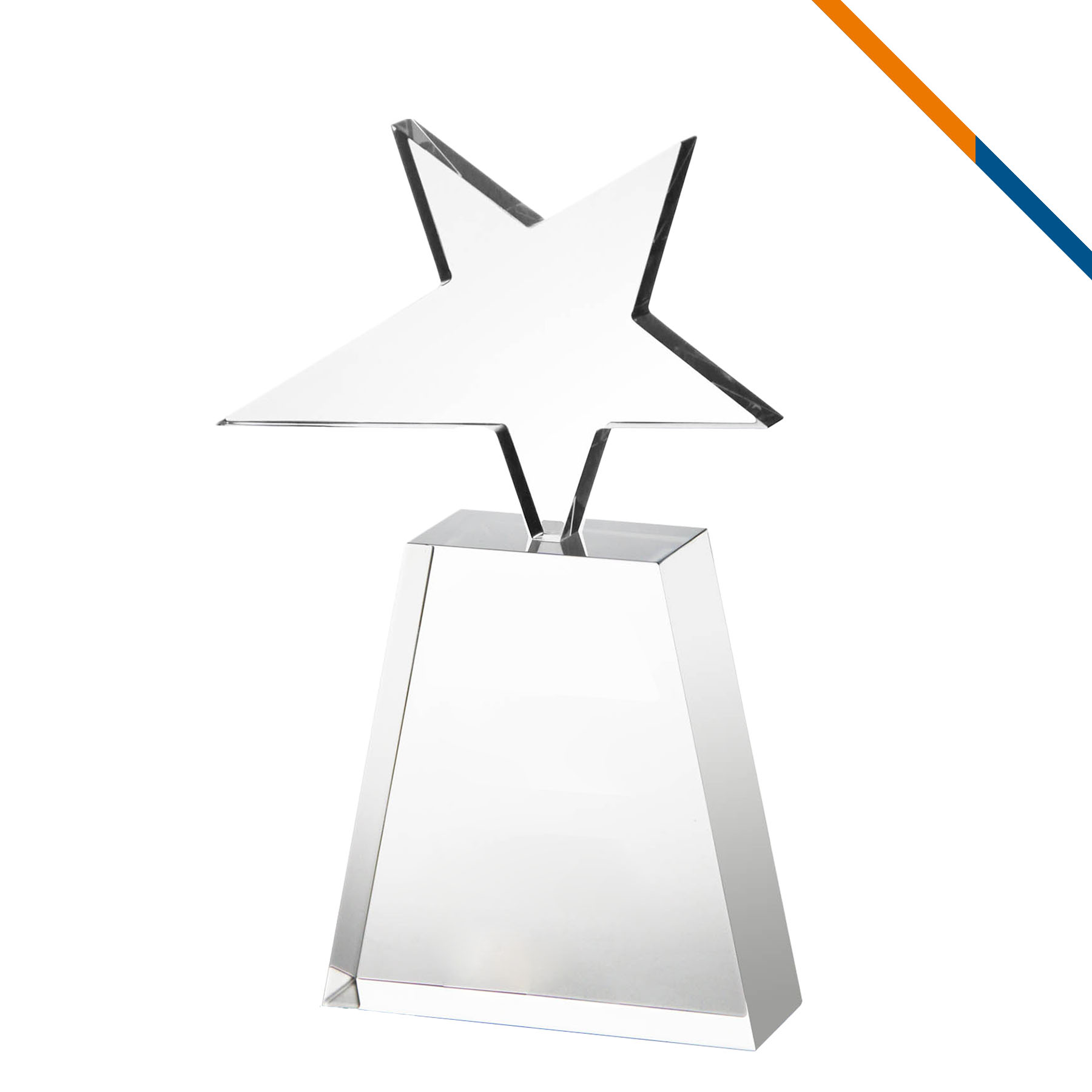 Felina Star Award 6
