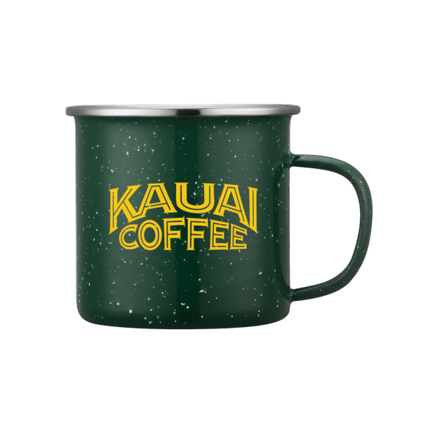 Sedona 16oz Enamel Mug 17