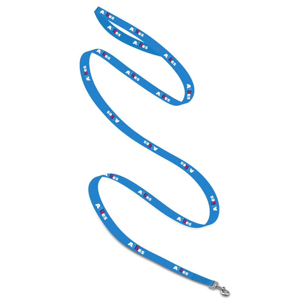 Baxter Leash with Collar Hook