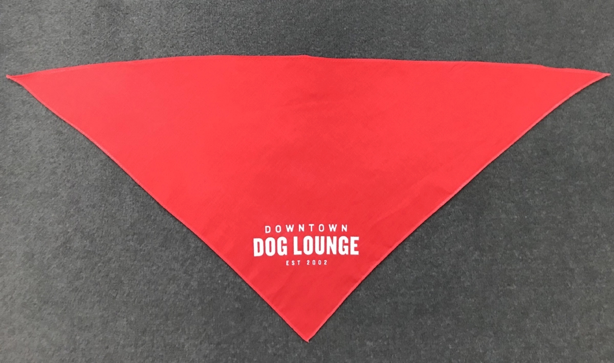 Custom Printed Pet Bandanas 6