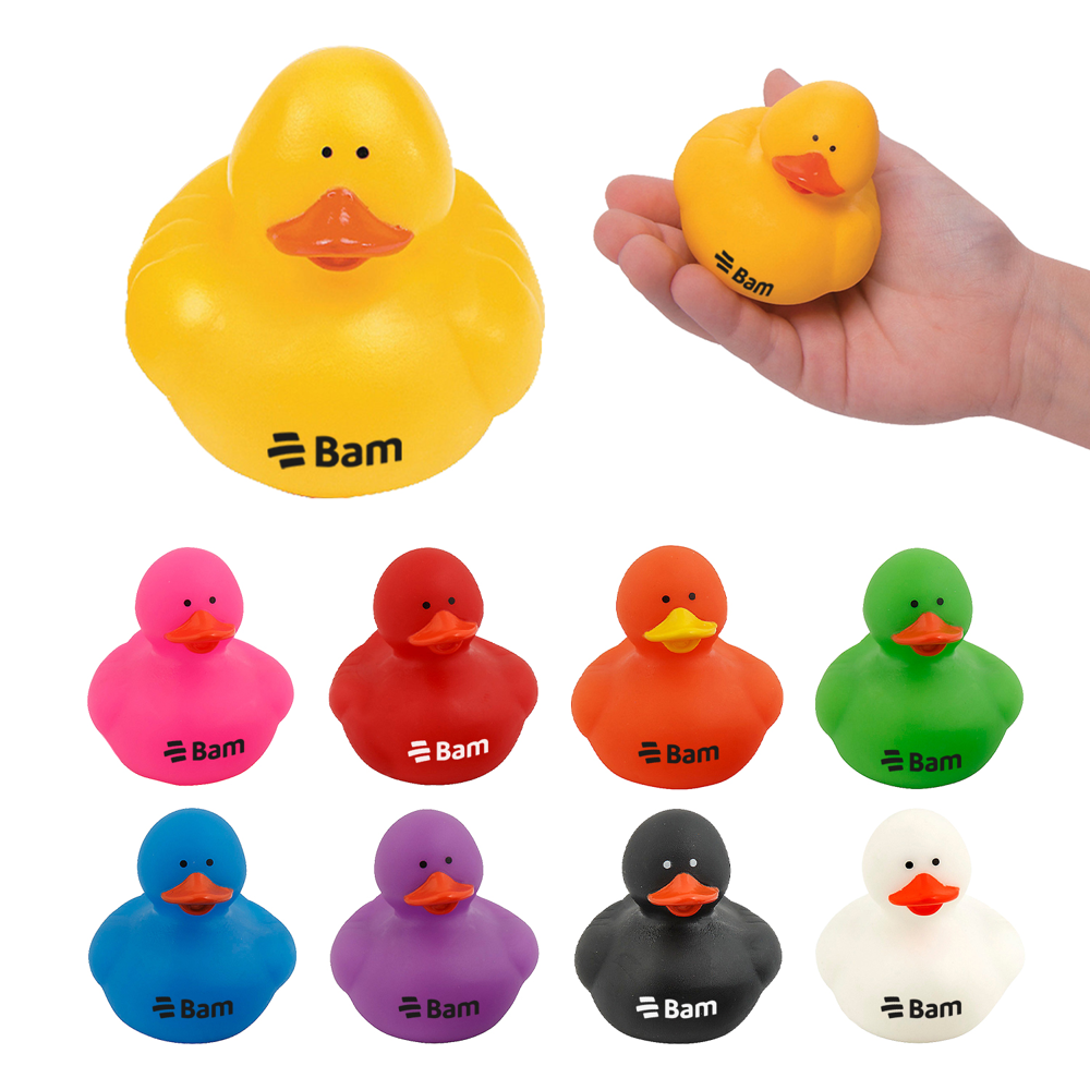 Colorful Duck
