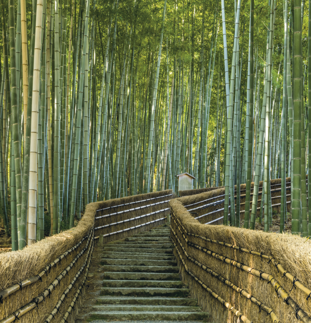 Triumph® Calendars World Scenic Calendar 6