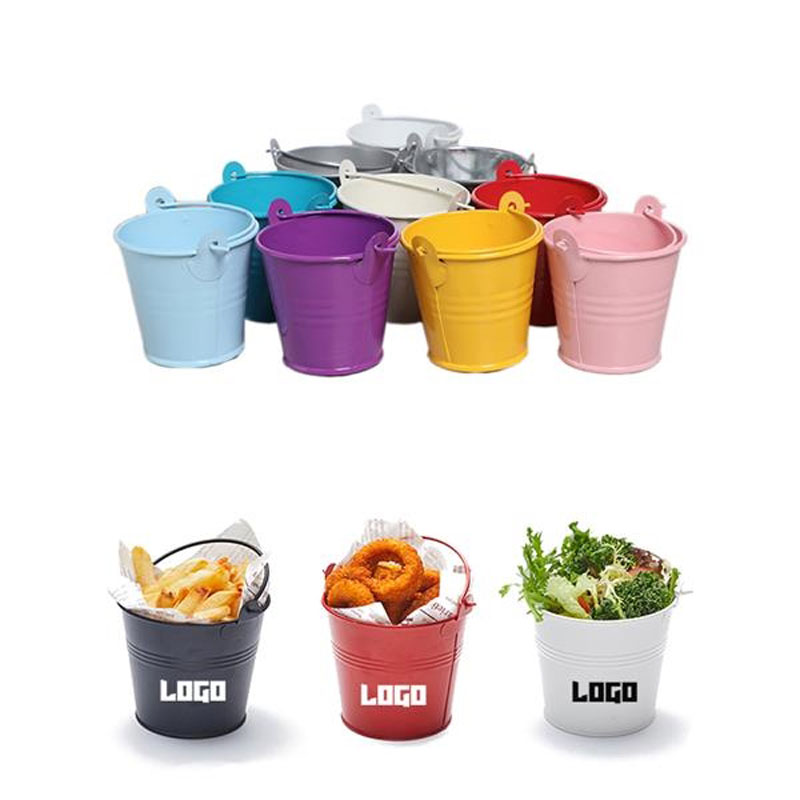 Mini Flower Planter Iron Bucket 3