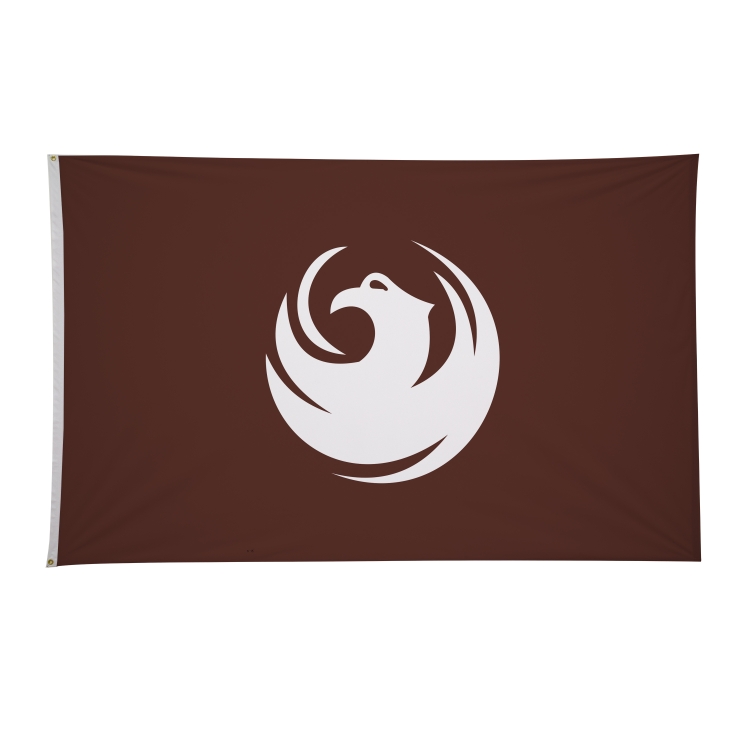5' x 8' City Flags 46