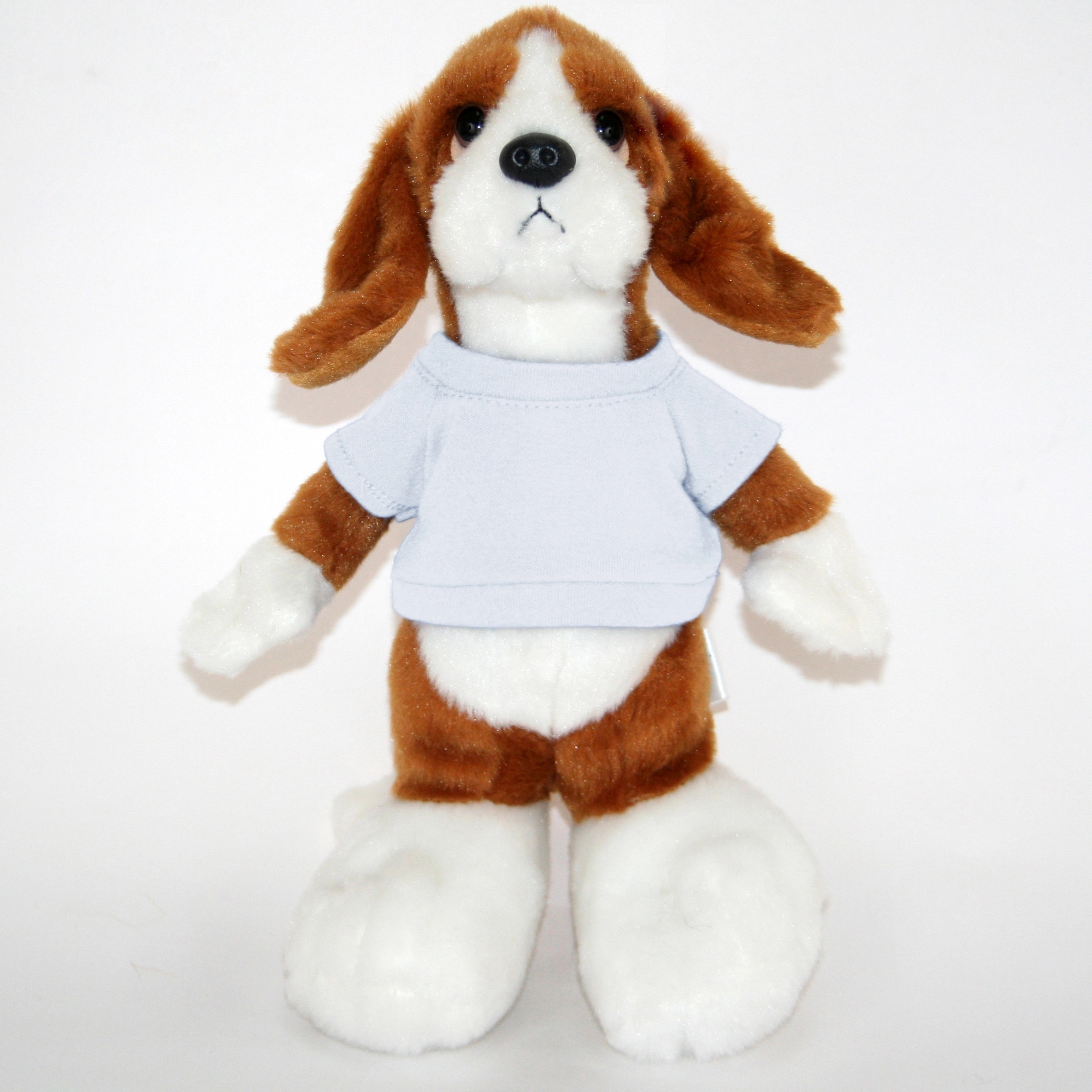 10" Long Body Beagle 11