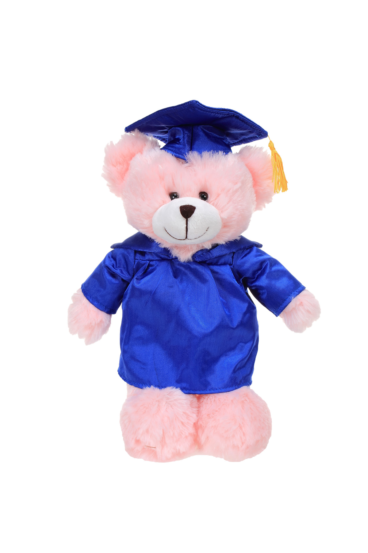 Soft Plush Pink Bear in Graduation Cap & Gown Stuffed Animal 5