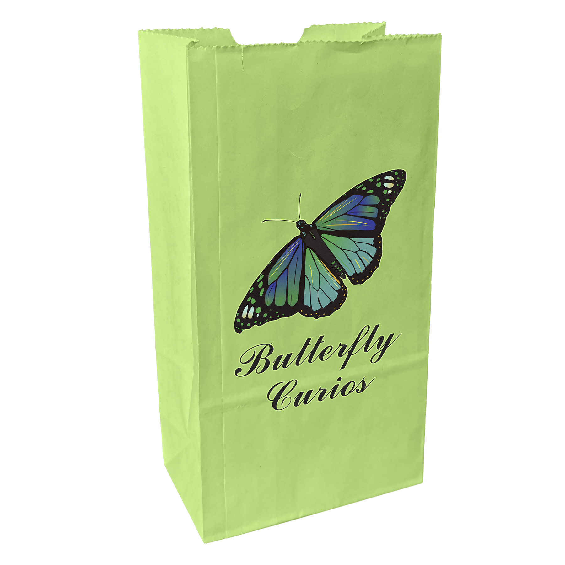 2# Popcorn Bag - ColorVista 11