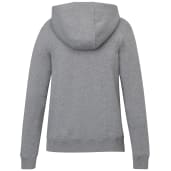 tentree Organic Cotton Banshee Hoodie - Women's 35