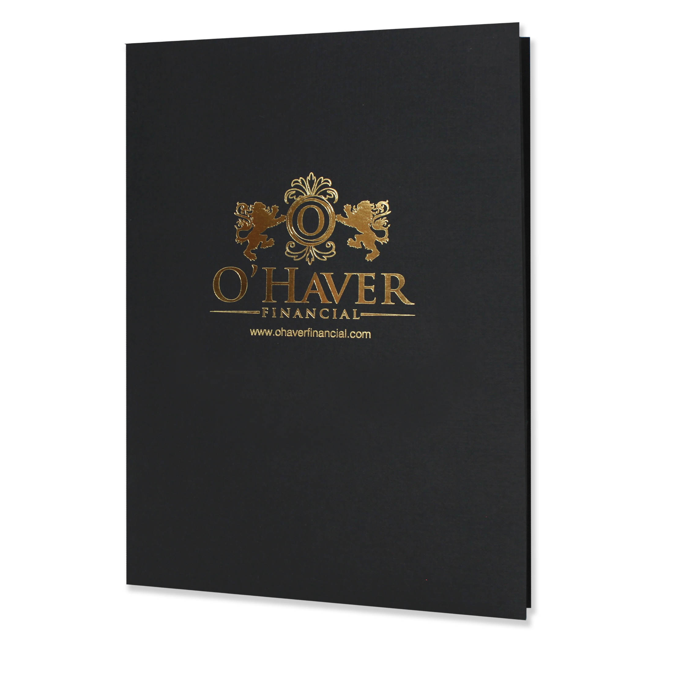 Large Presentation Folders with Foil Stamped Imprint 4