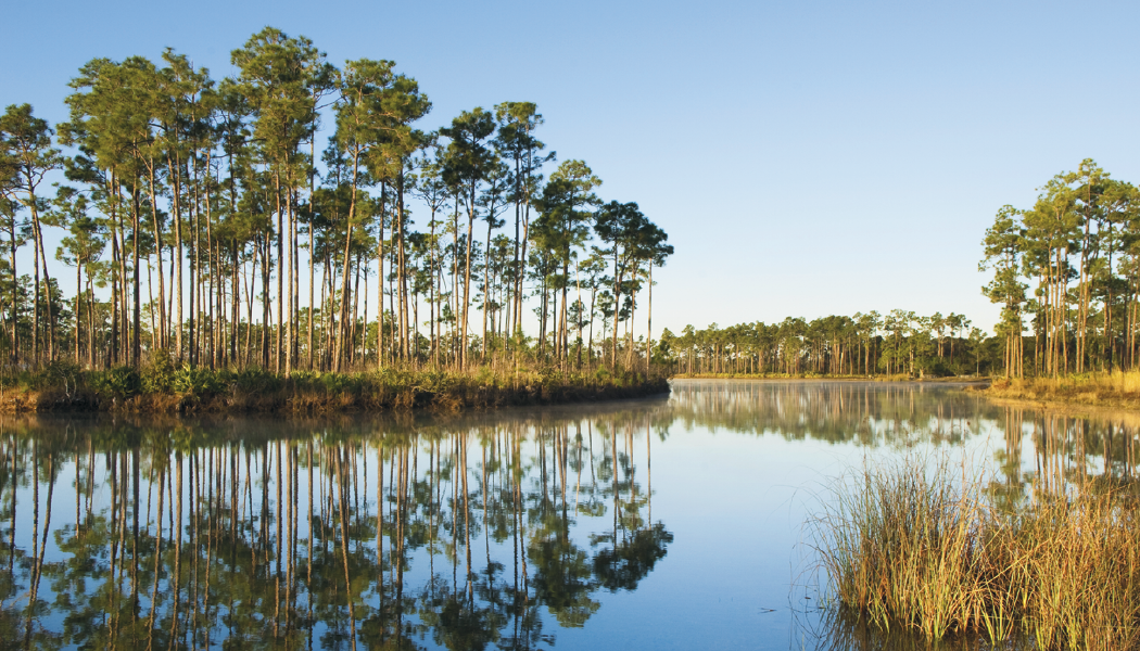 Triumph® Calendars American Splendor with Date Blocks Calendar 34