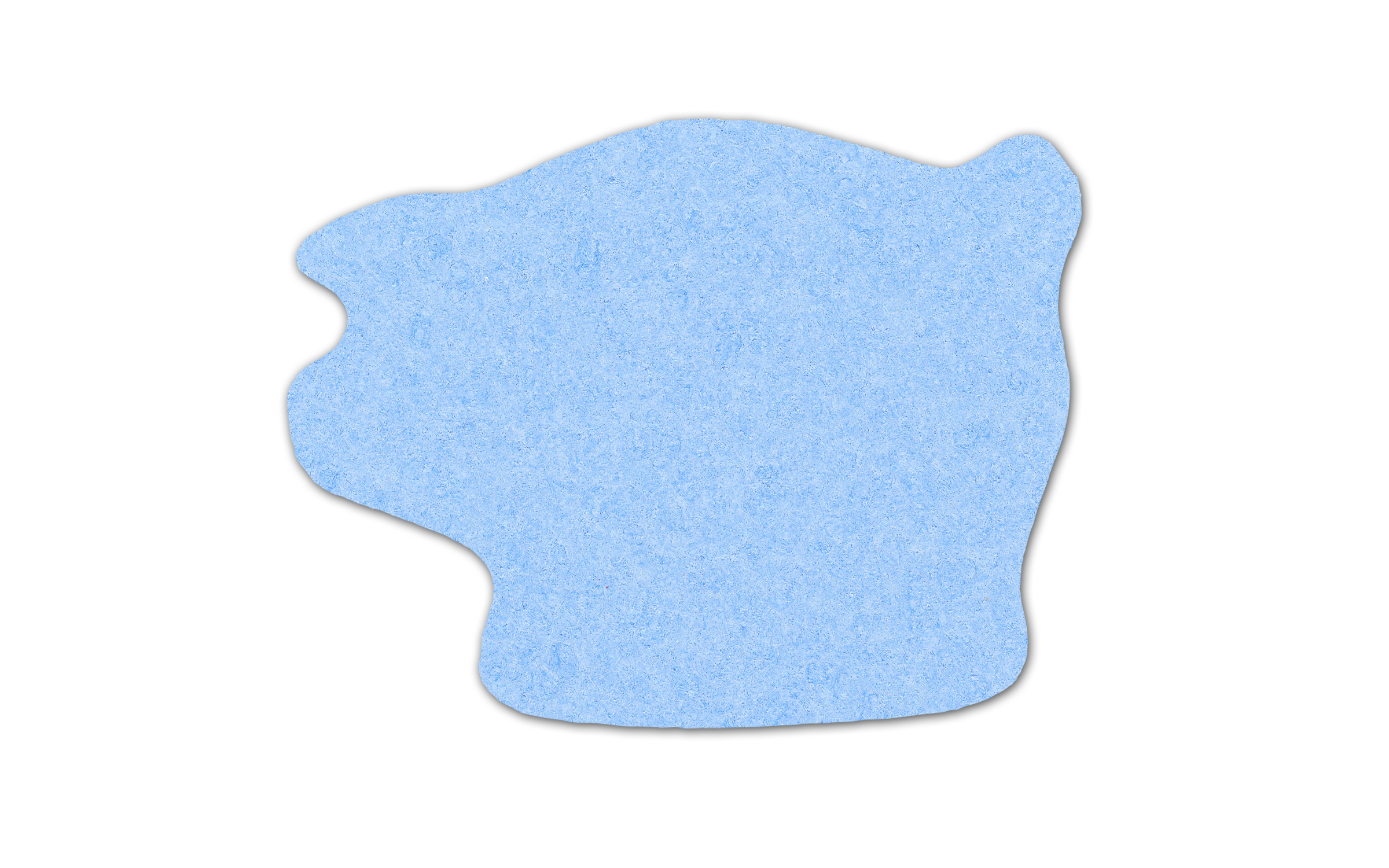 Piggy Bank Compressed Sponge 4PG 11