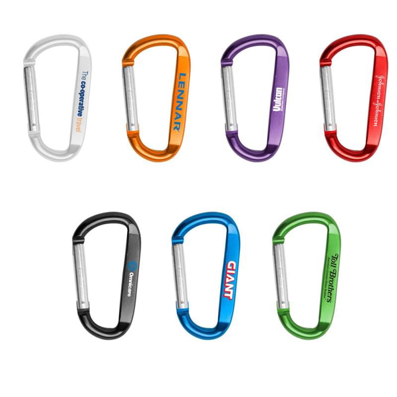 3 1/8" Carabiner Key Chain 1