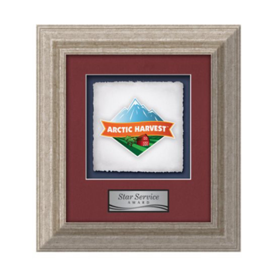 Terrene - Antique Silver 5