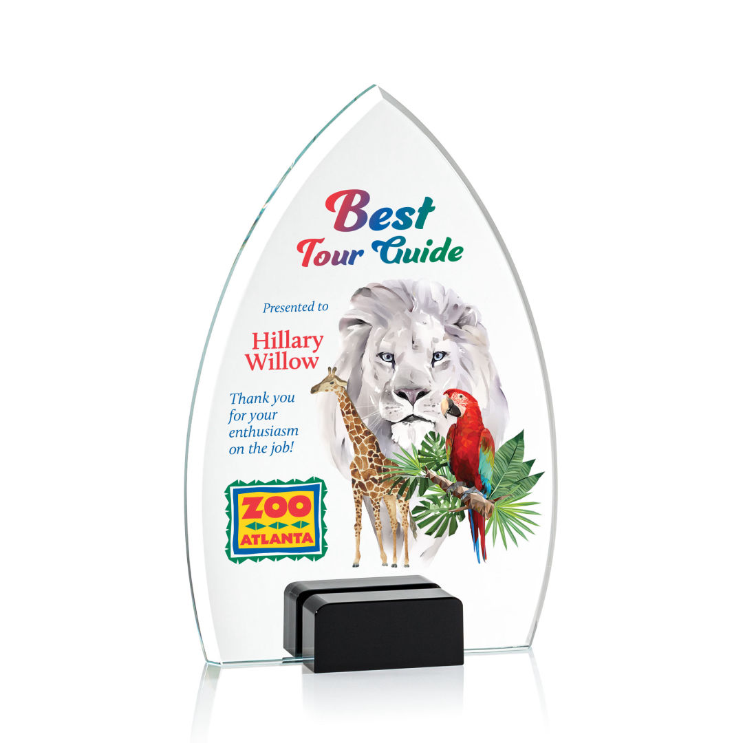 Aylin VividPrint™ Award - Black 4