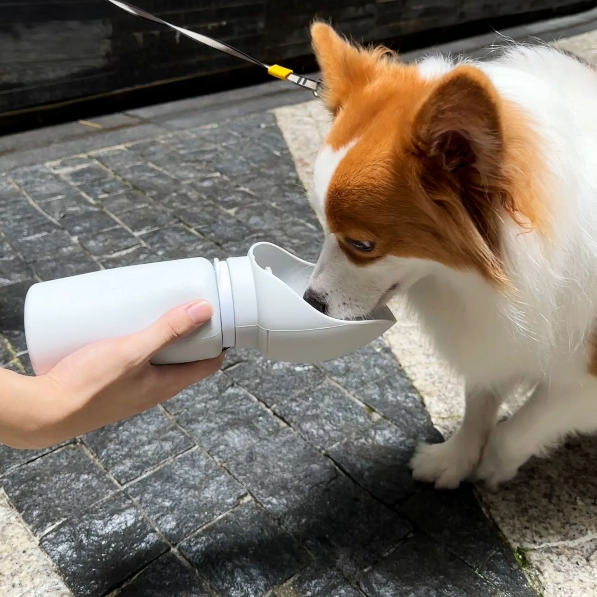 Folding Pet Kettle 4