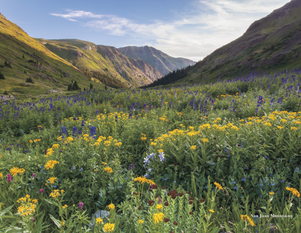 HotLine® Products Colorado Collection 12