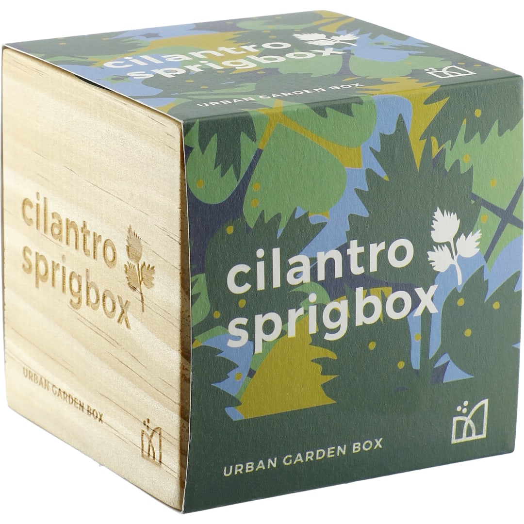 Sprigbox Cilantro Grow Kit 27