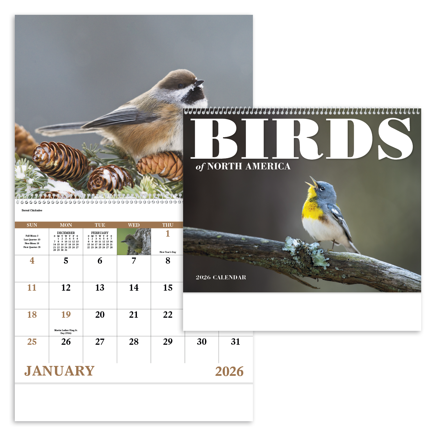 Good Value™ Birds of North America - Spiral Calendar 12