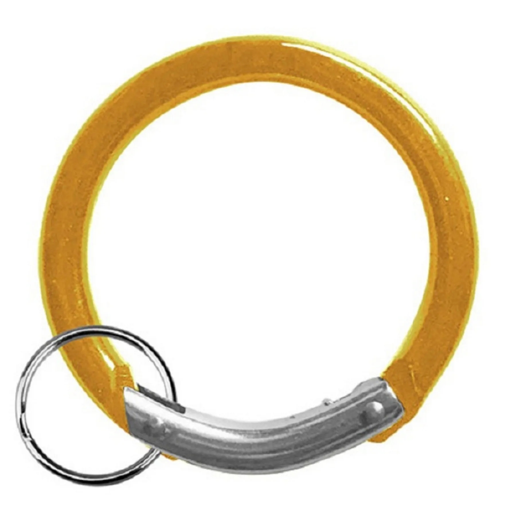 Circle Carabiner 1
