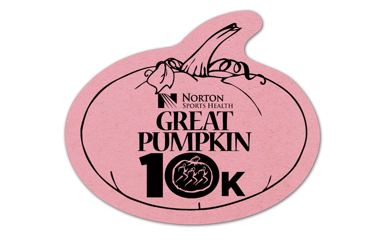 Pumpkin Compressed Sponge 6