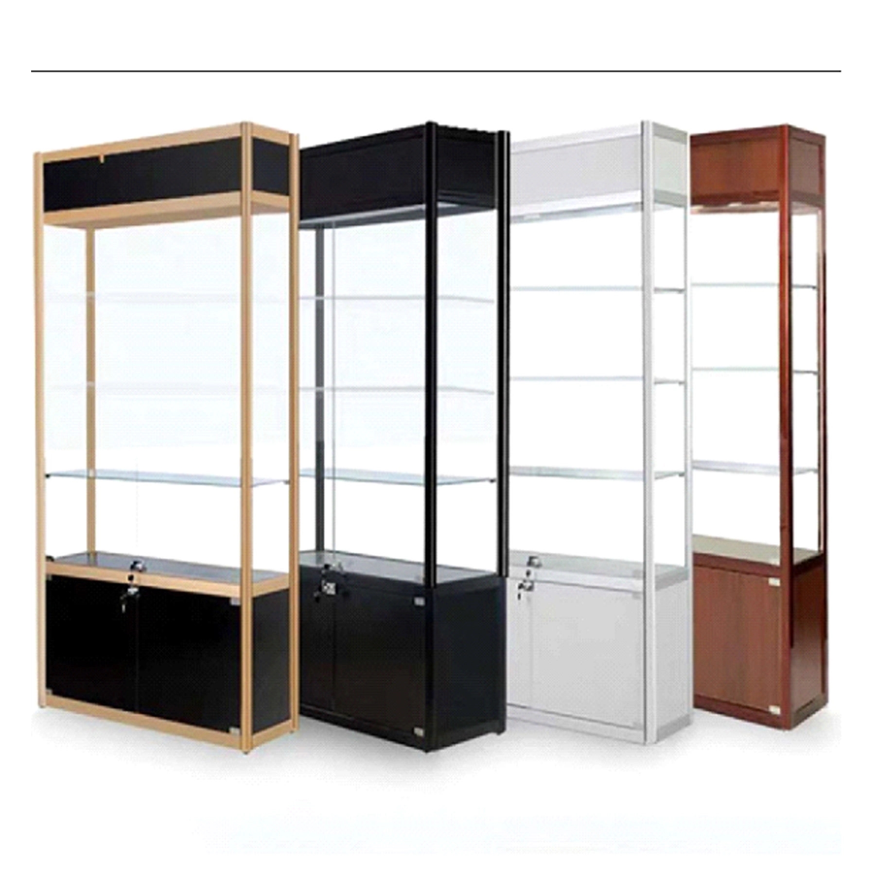 Display Case 2