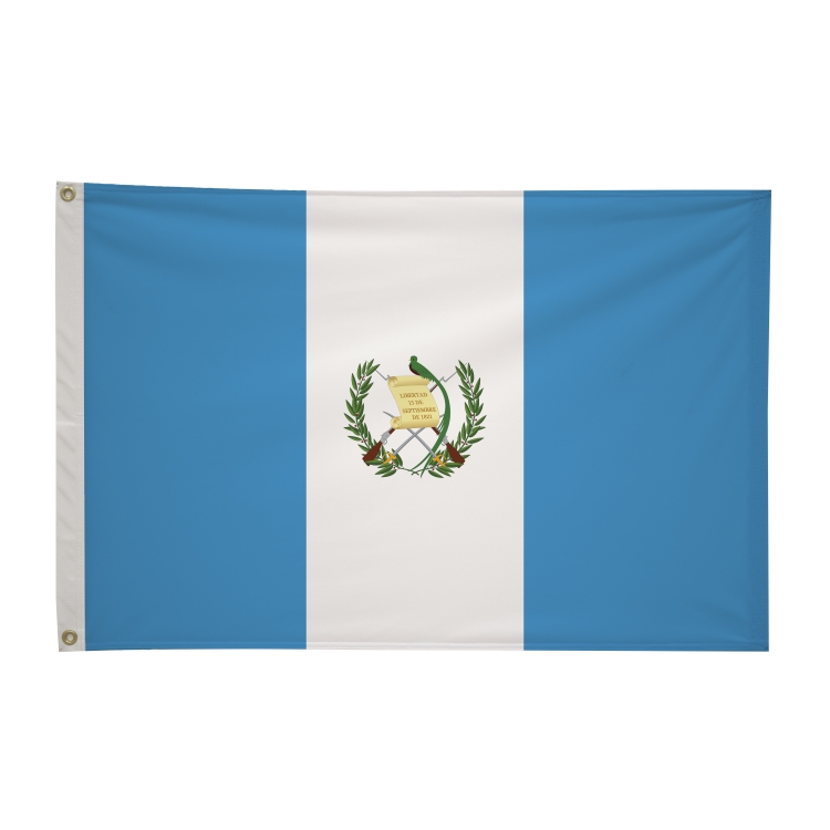 2' x 3'International Flag 203