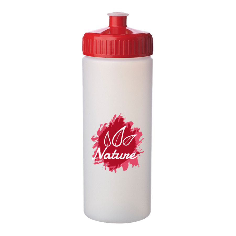 20 oz. Frosted Plastic Water Bottles 12