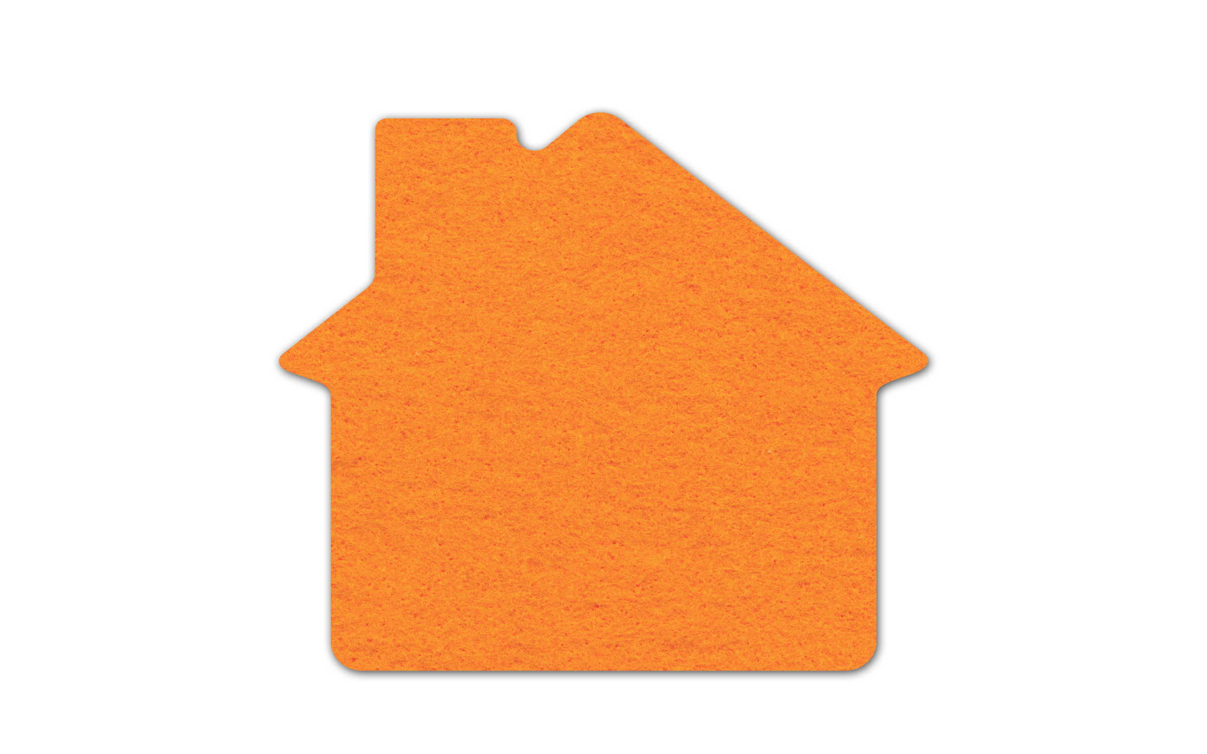 House Shammy Coaster 5