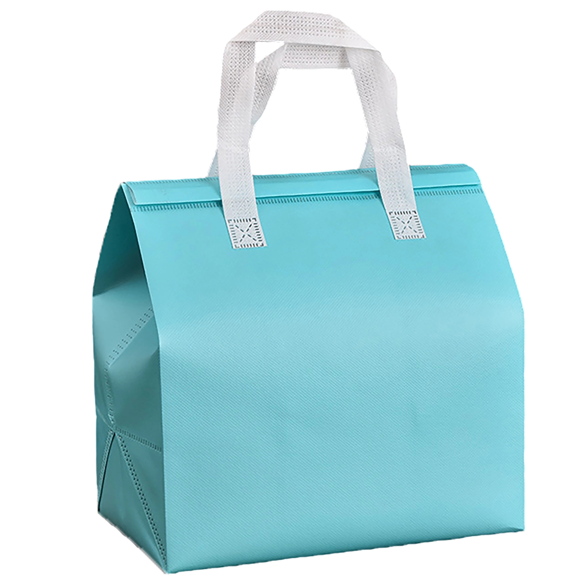 MOQ 50pcs Disposable Non-Woven Insulation Bag 5