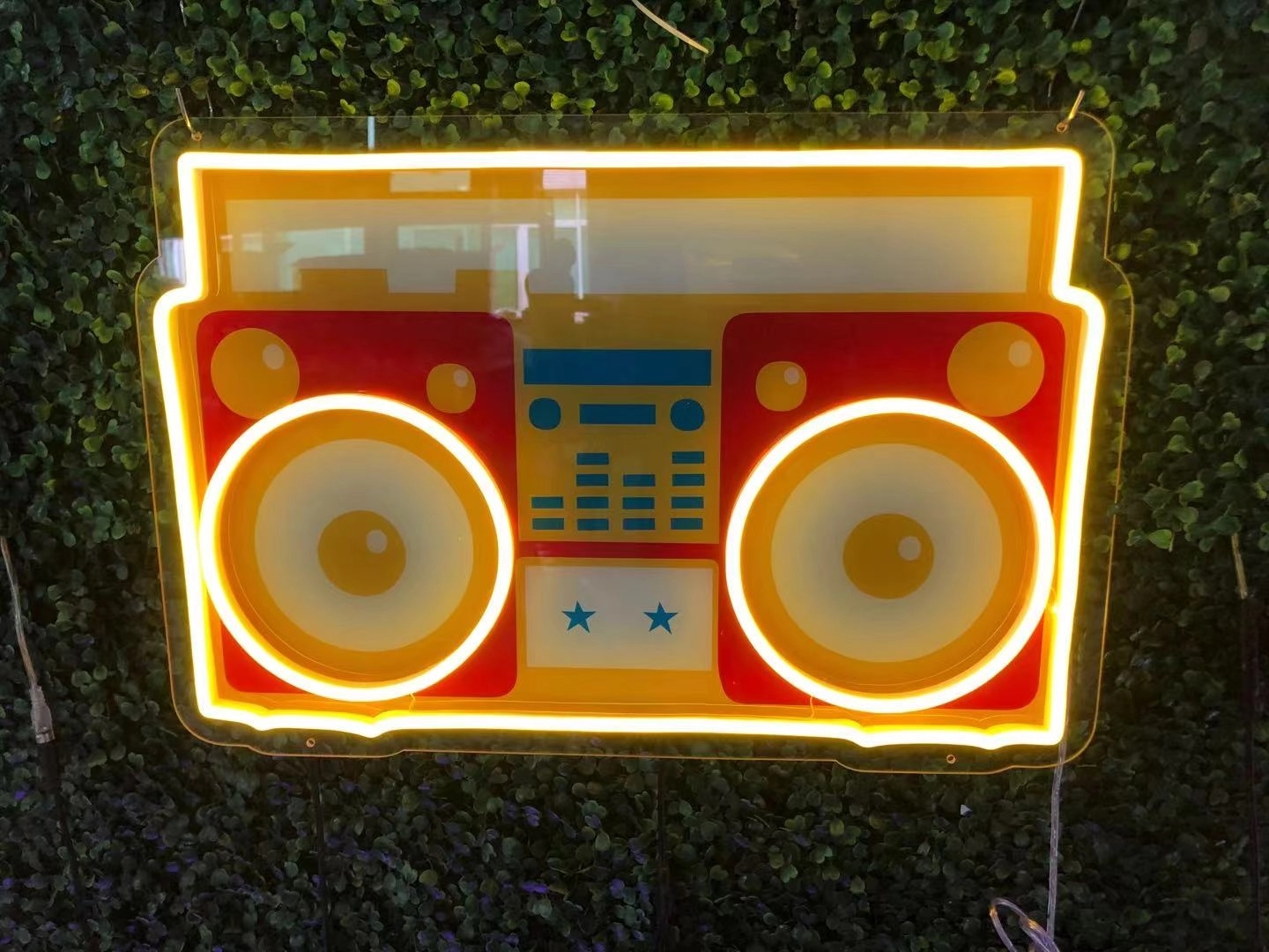 Custom Neon LED Lights 5