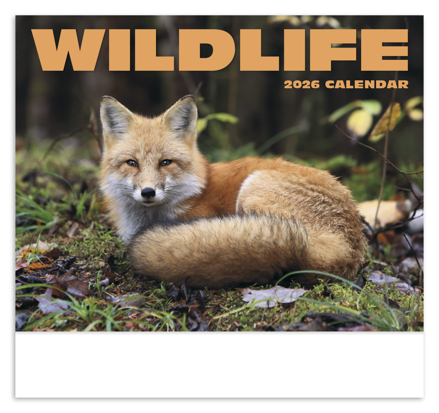 HotLine® Products Wildlife Appointment Calendar - Stapled 15