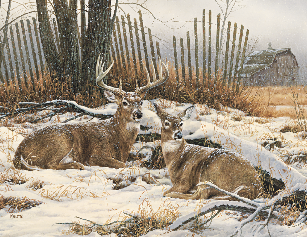 Triumph® Calendars Wildlife Art Calendar 18