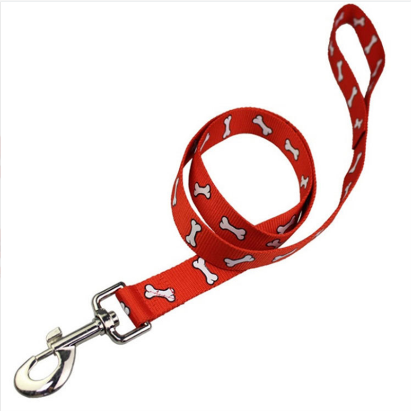 pet leash 3