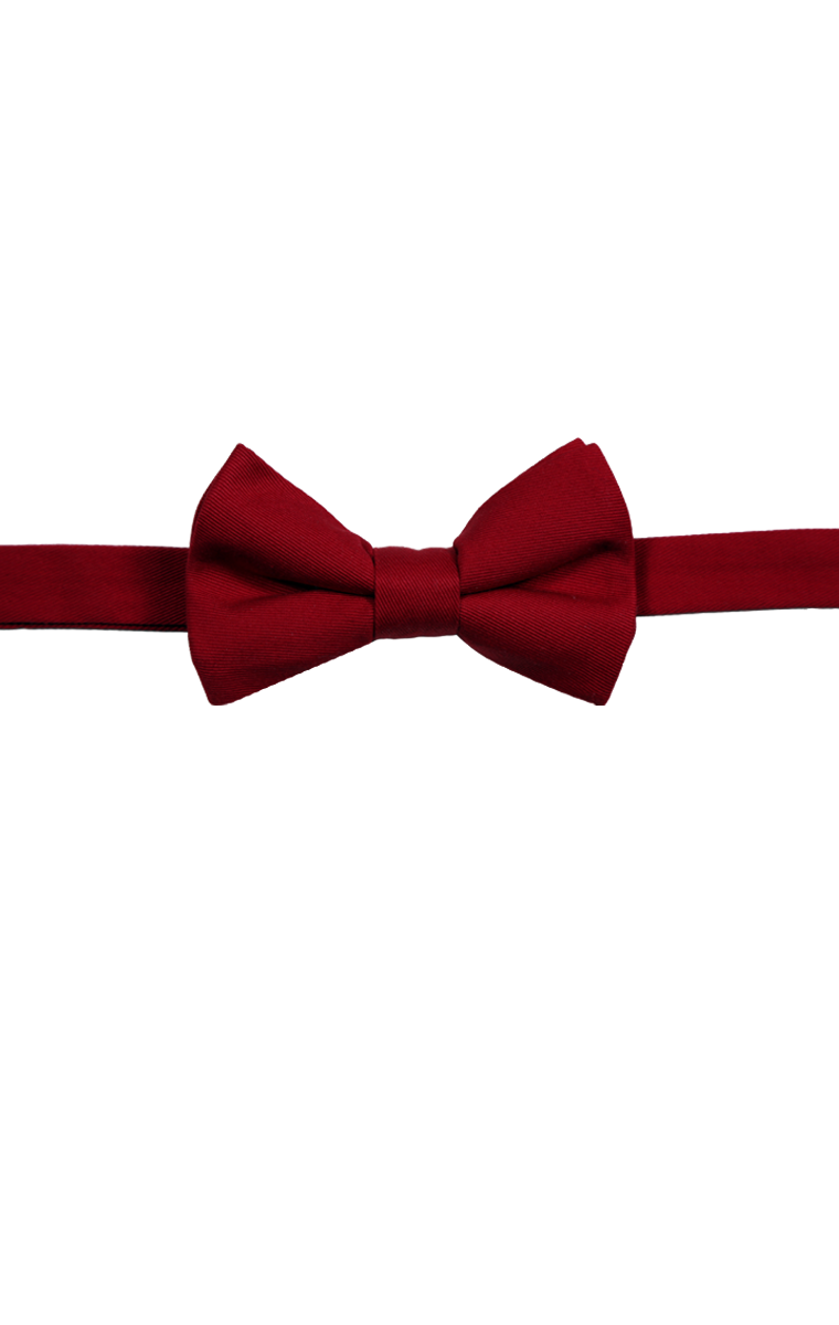 Scotchgard Treated Twill Bow Tie 18