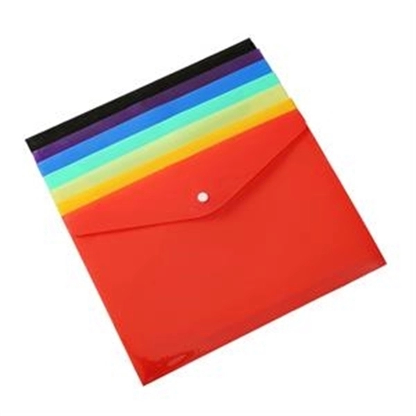 Snap Transparent Document Bags 4