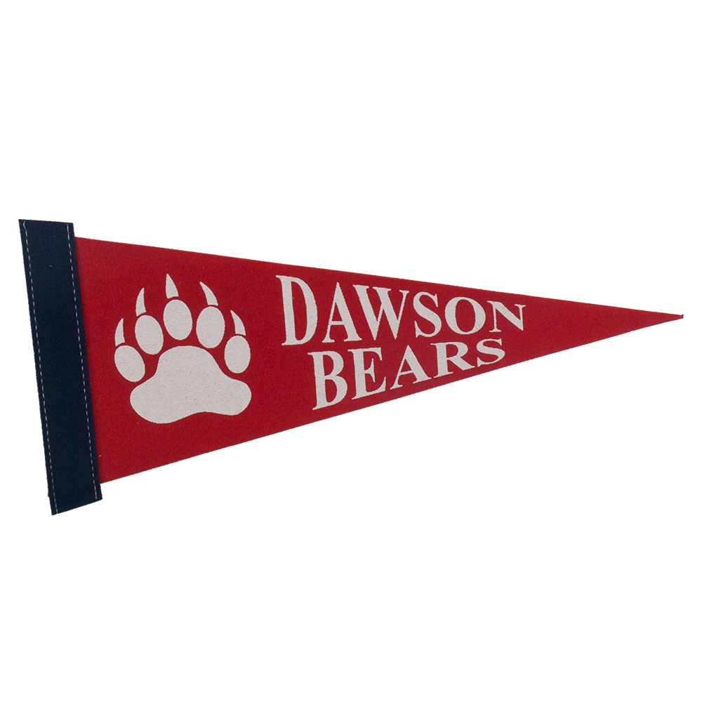 5" x 12" Colored Felt Pennant 17