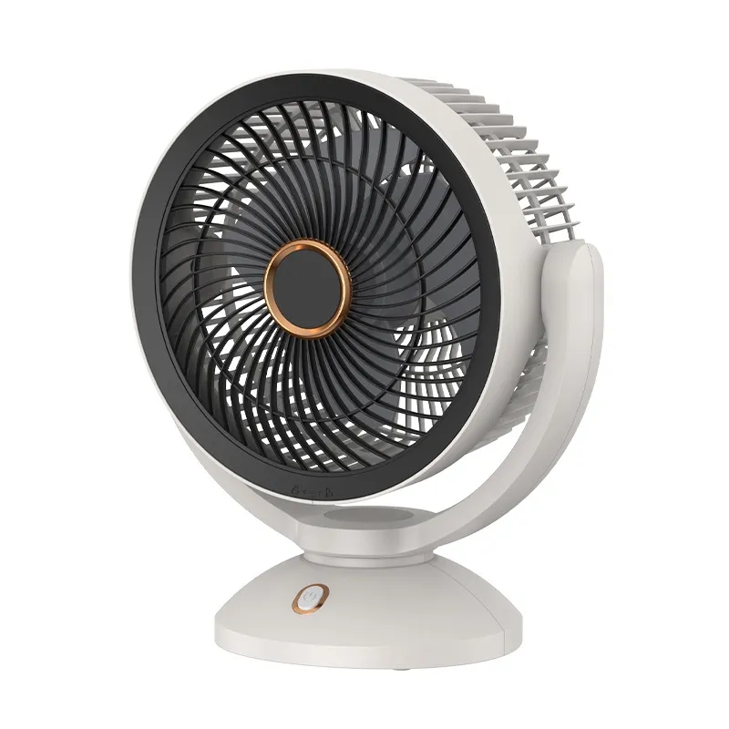 Various Styles Of Small Fans 10