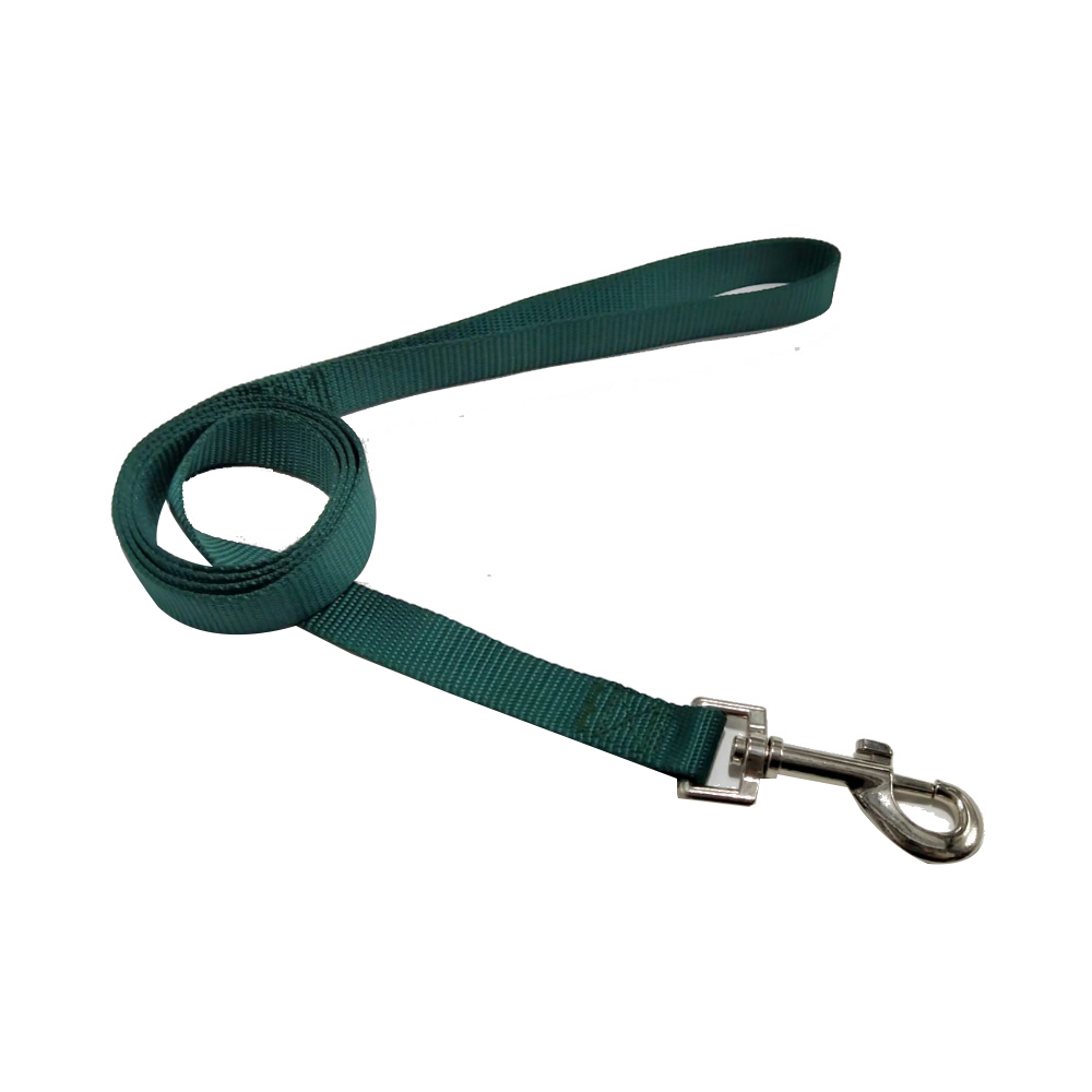 Pet Leash 3