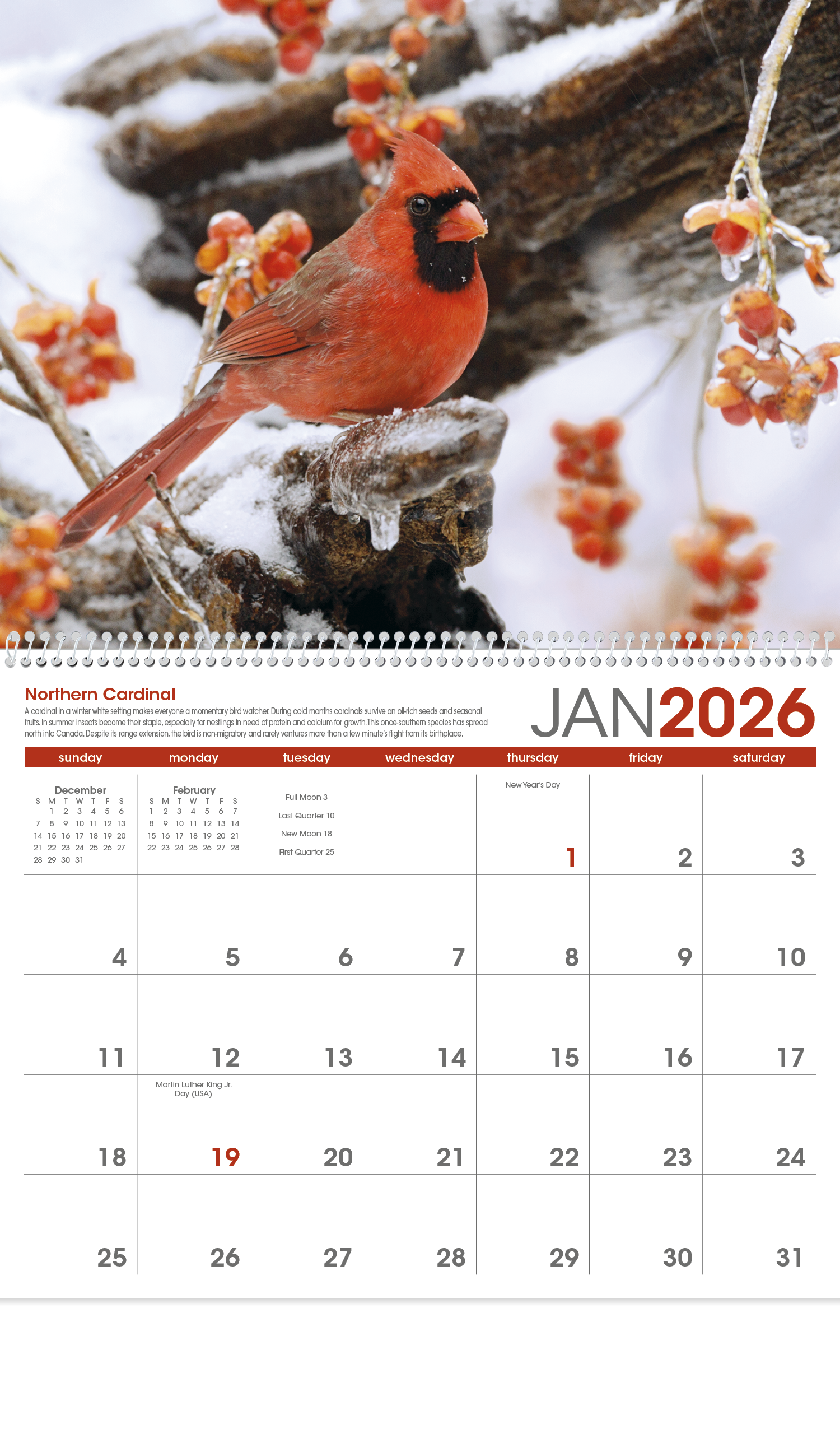 Triumph® Calendars Birds Calendar 1