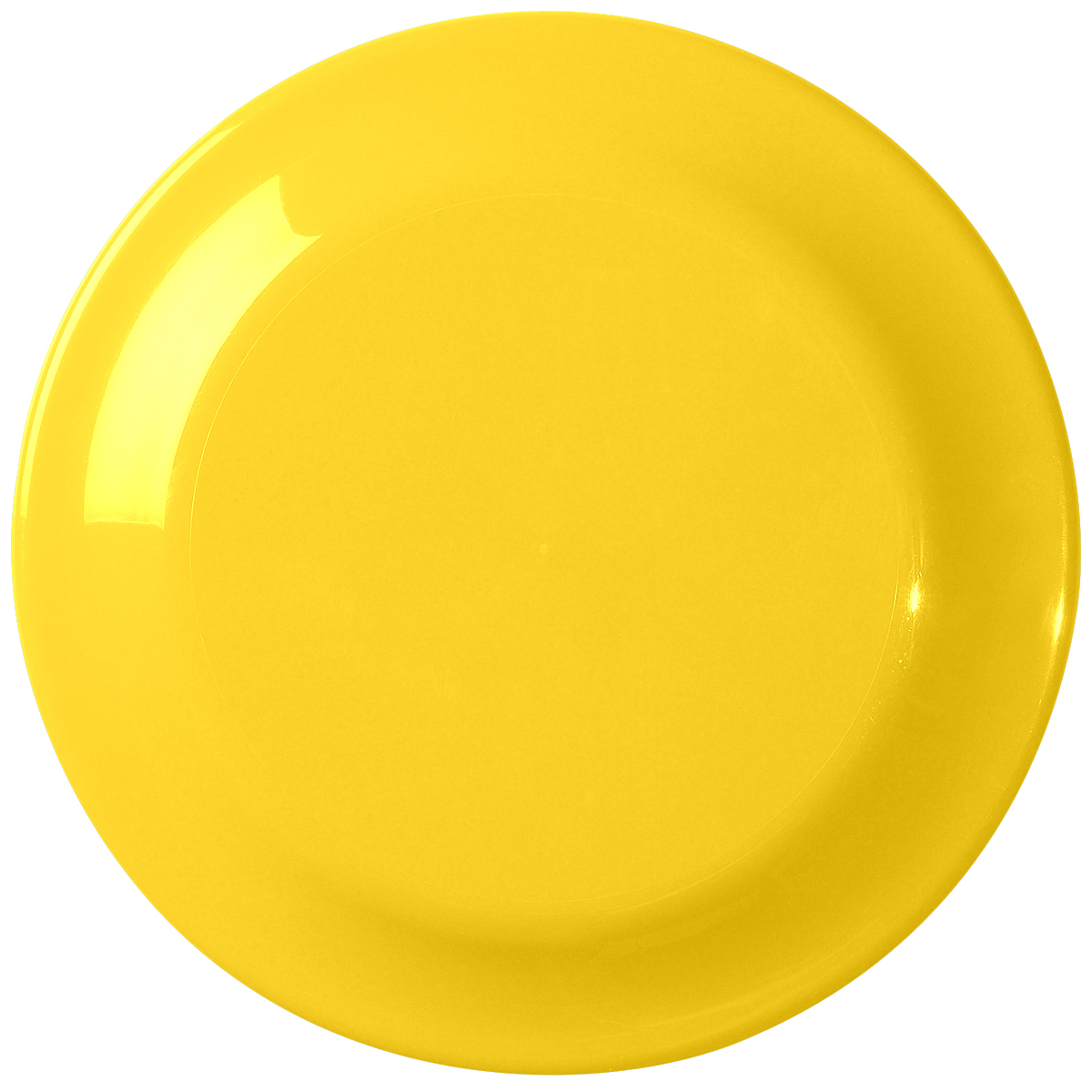 Large Discus 12