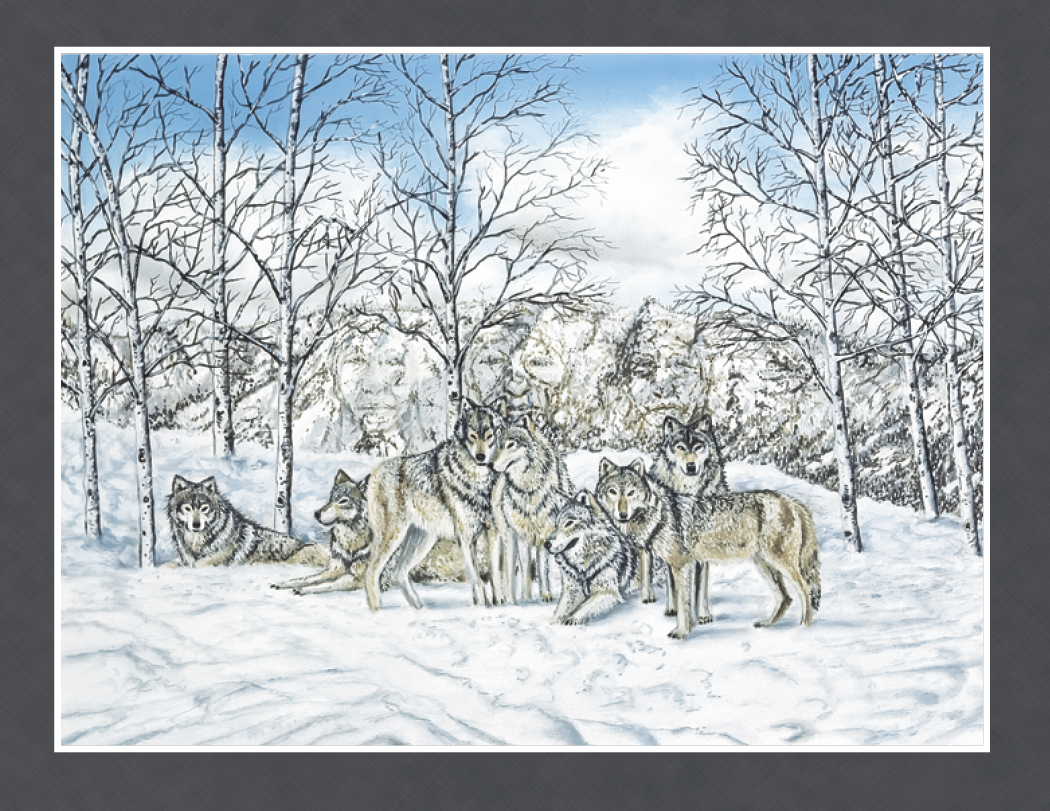 Triumph® Calendars Native American Art Calendar 79