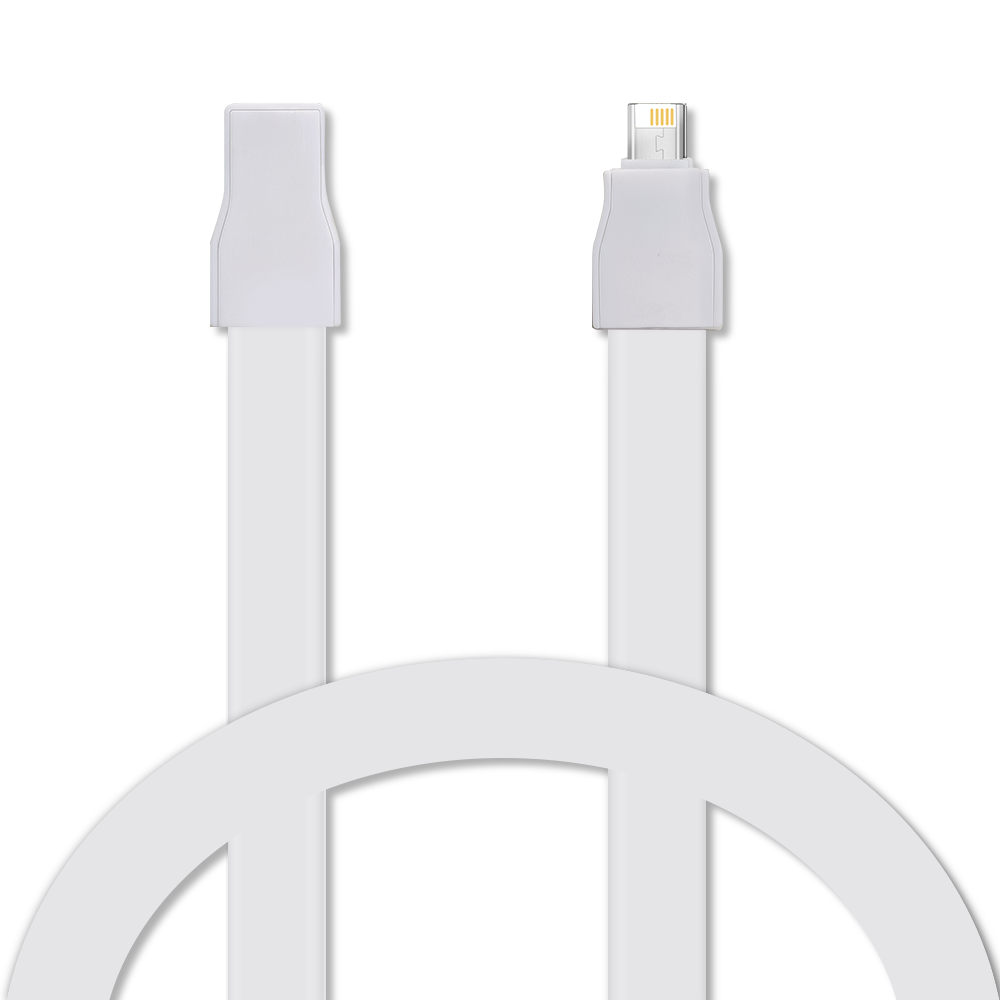 IOS and Micro 2 in 1 Lanyard Charging Cable