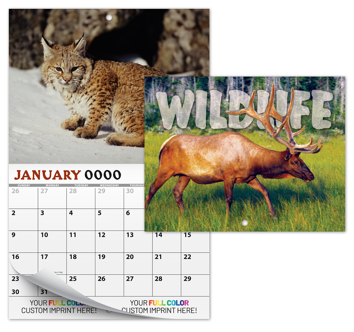 13 Month Custom Appointment Wall Calendar (High Gloss UV-Coated Cover)- WILDLIFE 2
