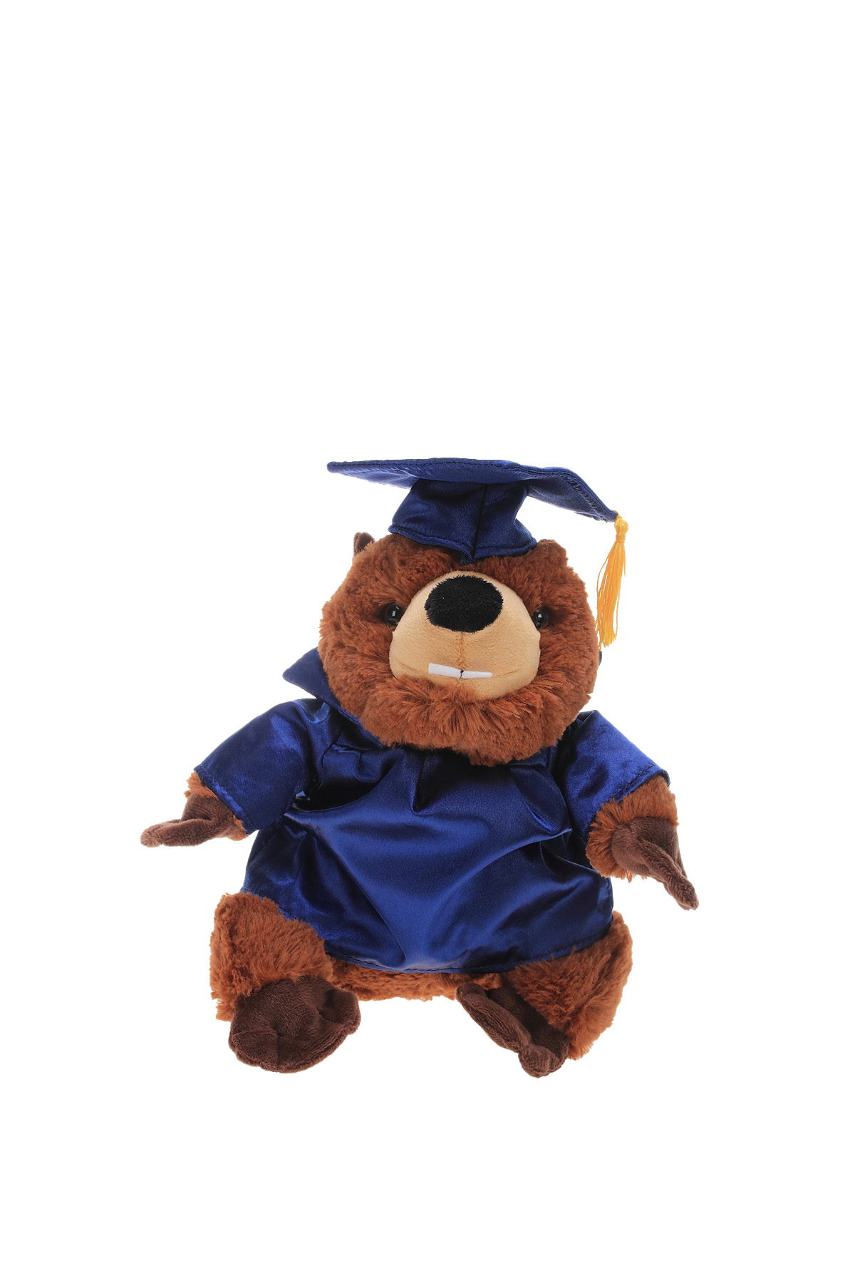 Soft Plush Beaver with Graduation Cap and Gown 4