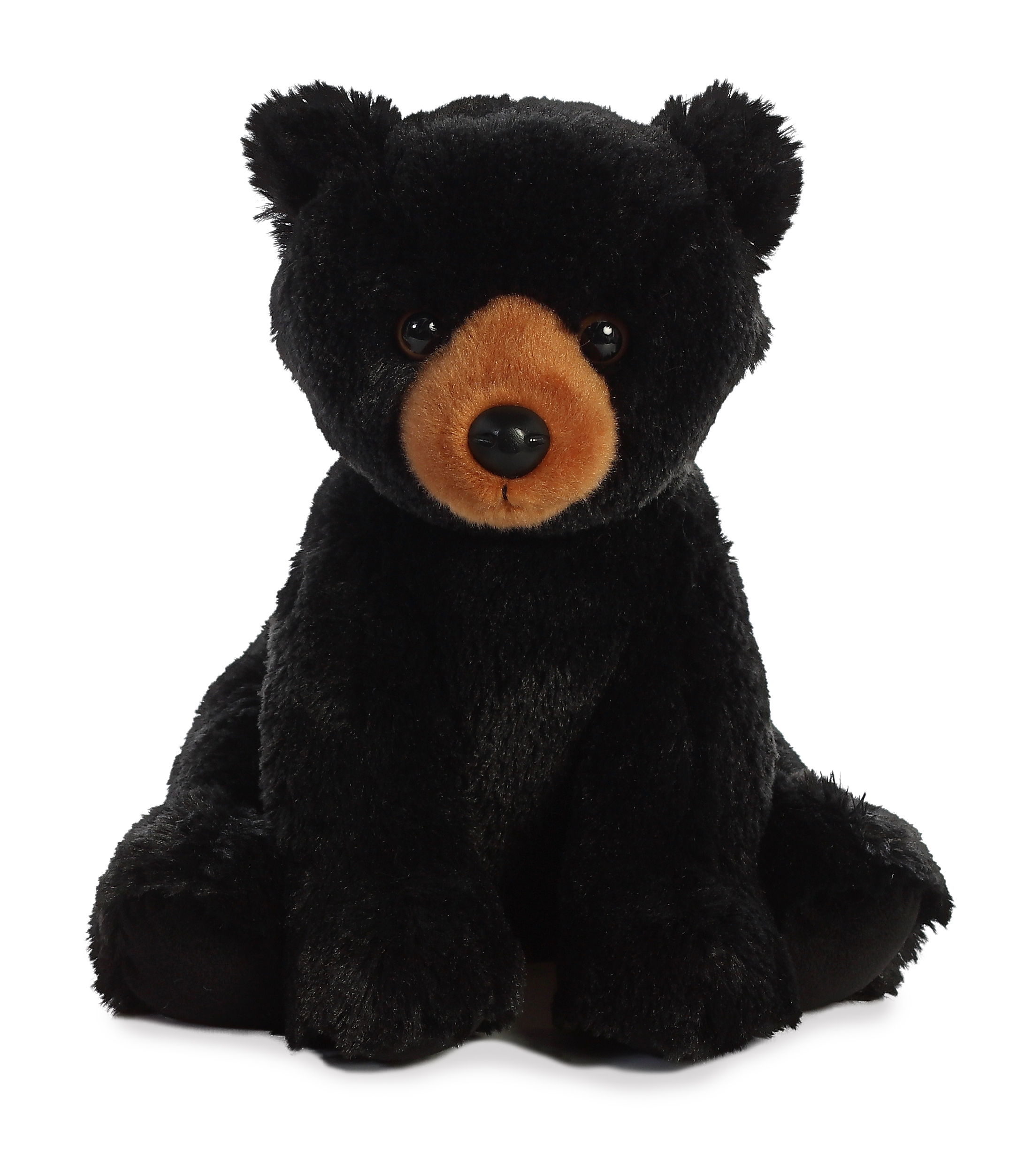 14" Black Bear 2