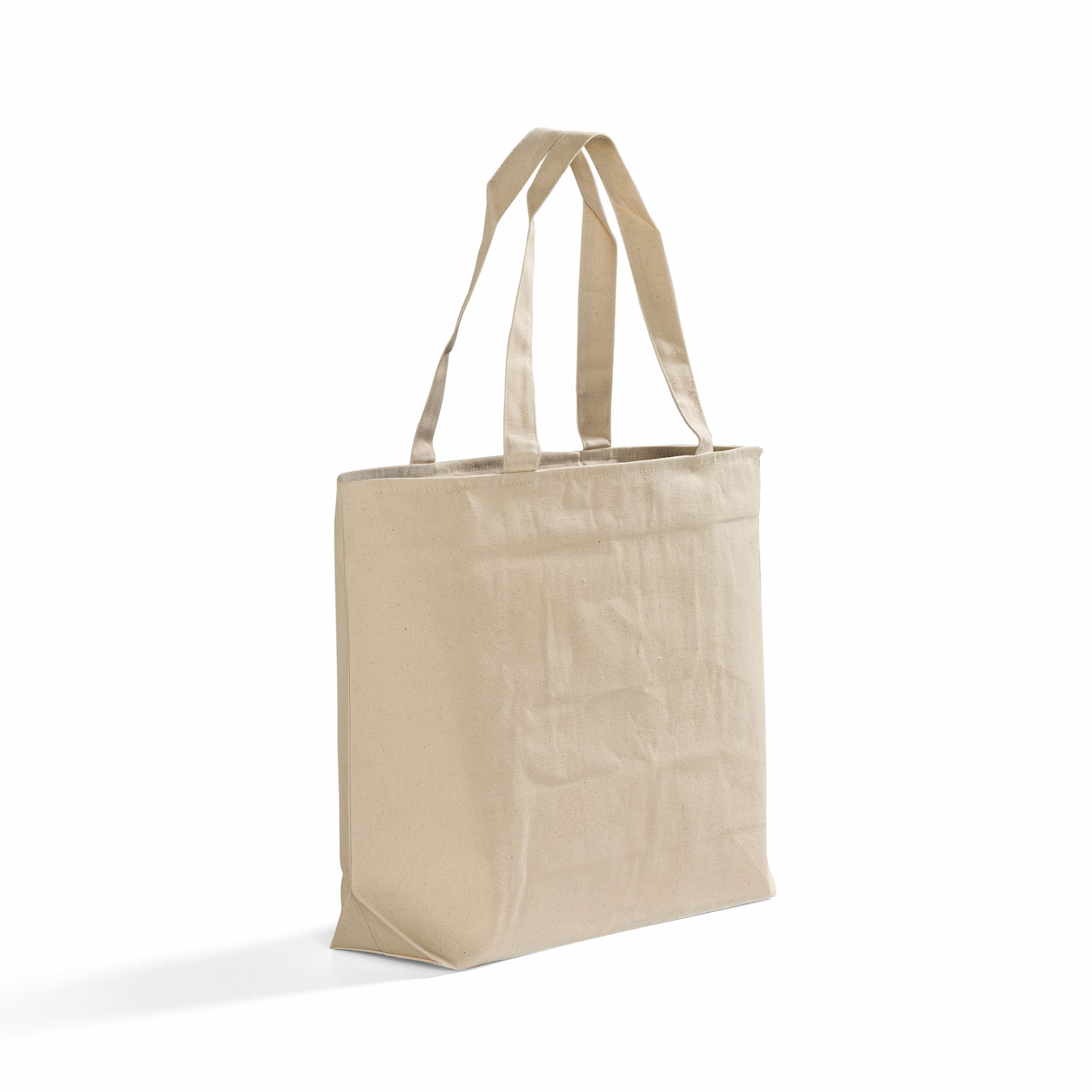 Zip & Go Canvas Tote Bag 19