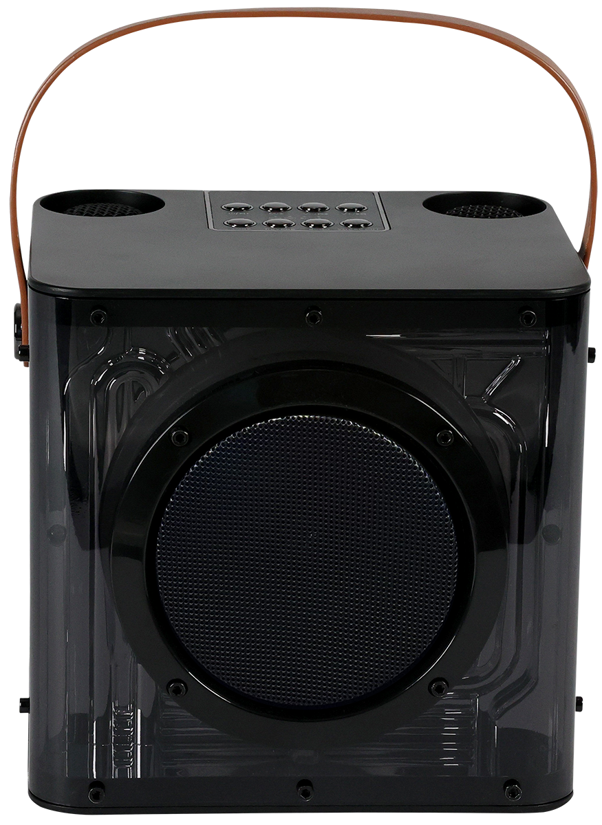 15W Karaoke Wireless Speaker with 2 Mics 26