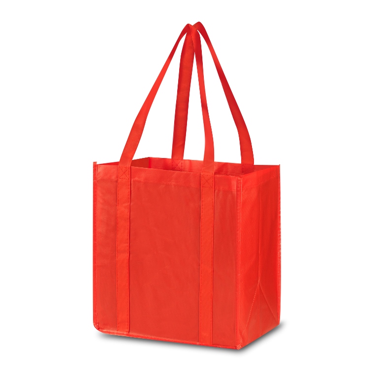 Heavy Duty Grocery Bag 1