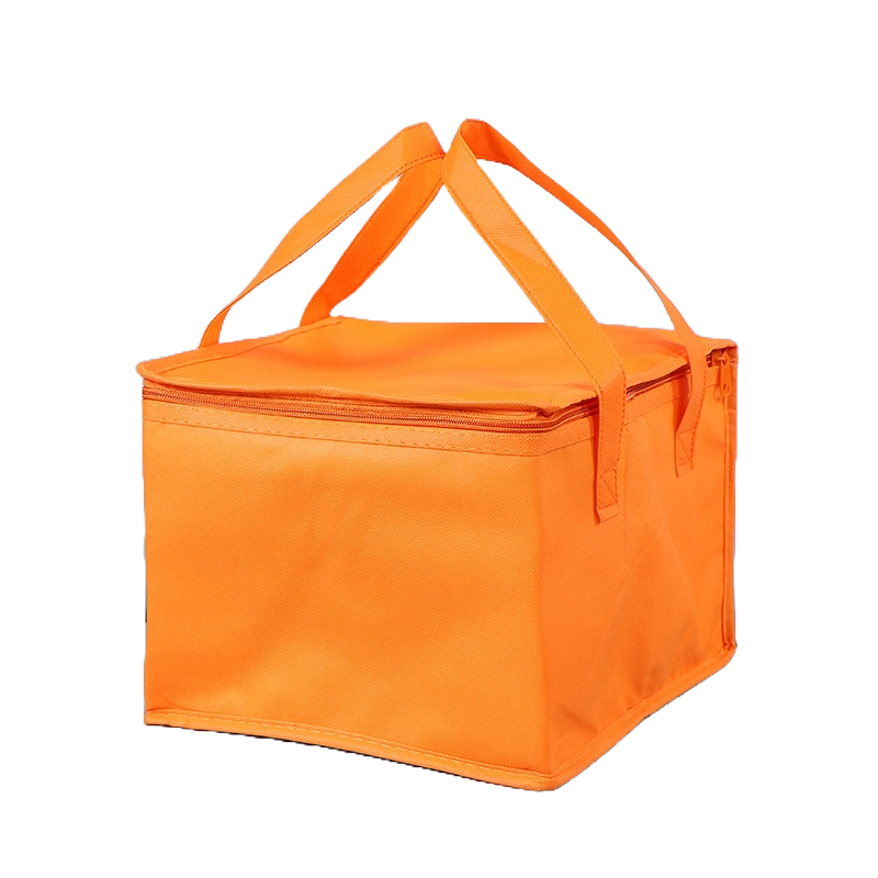 Non-Woven Insulation Cooler Bag 3